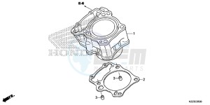 CRF250LF CRF250L E drawing CYLINDER