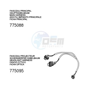 FIGHT 3 LCN drawing PLUG WIRING HARNESS