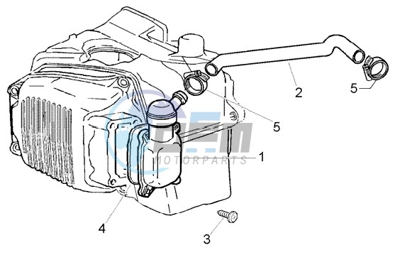 Oil drain valve