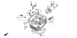 TRX200D FOURTRAX 200 drawing CYLINDER HEAD