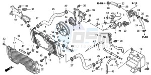 CB1300S CB1300SUPER FOUR drawing RADIATOR (CB1300A/SA)