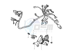 DD - 50 cc drawing WIRING HARNESS