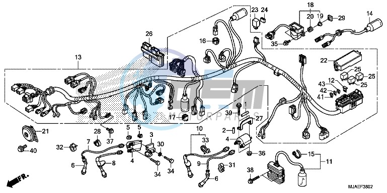 WIRE HARNESS (VT750S)