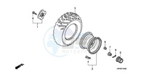 TRX420FMA Australia - (U / 4WD) drawing REAR WHEEL