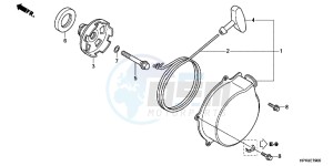 TRX420FPMB drawing RECOIL STARTER