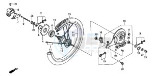 PAC16A1 RACOON drawing REAR WHEEL