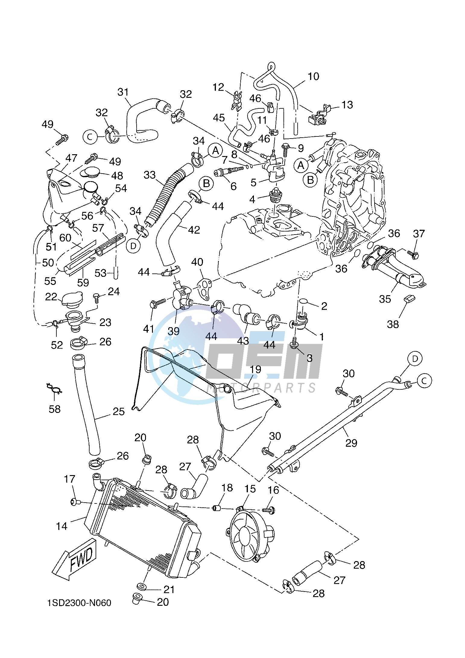 RADIATOR & HOSE