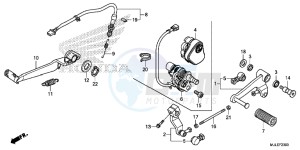 NC750SDE NC750SD Europe Direct - (ED) drawing PEDAL