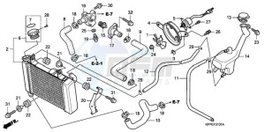 CBR125RWA Australia - (U / BLA) drawing RADIATOR (CBR125RW7/RW9/RWA)