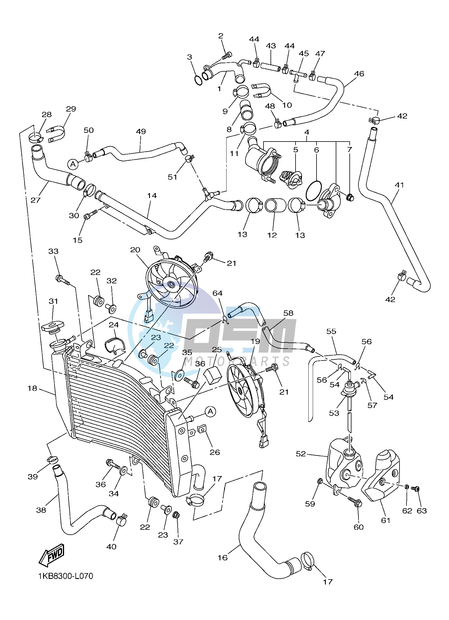 RADIATOR & HOSE