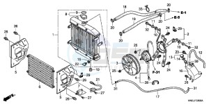 TRX500FAD TRX500FA Europe Direct - (ED) drawing RADIATOR