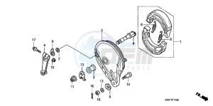 CBF125MD CBF125M UK - (E) drawing REAR BRAKE PANEL