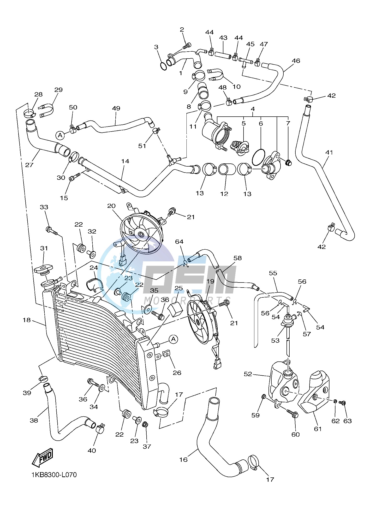 RADIATOR & HOSE