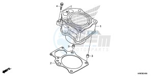 TRX500FA5F TRX500FA Europe Direct - (ED) drawing CYLINDER