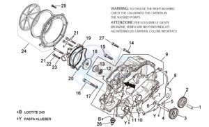 RSV 1000 Tuono drawing Water pump