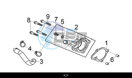 WATER PUMP COVER