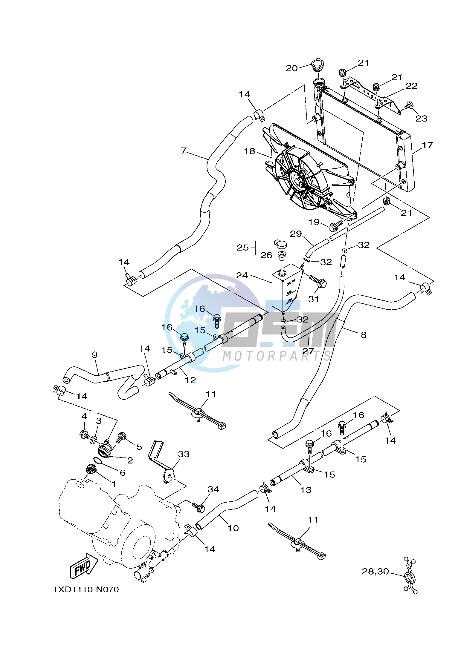 RADIATOR & HOSE