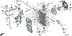 CRF250ME CRF250M UK - (E) drawing RADIATOR