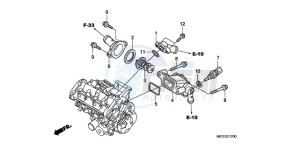 CB600FA39 Australia - (U) drawing THERMOSTAT