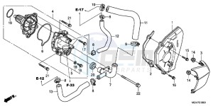 CBR600FC drawing WATER PUMP