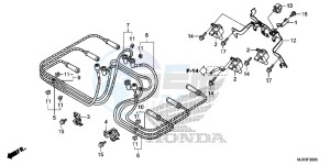 GL1800CF F6C ED drawing IGNITION COIL