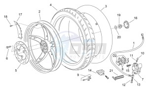 Scarabeo 50 2t (eng. Minarelli) drawing Rear wheel - disc brake