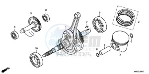 TRX500FPAE TRX500FPA Europe Direct - (ED) drawing CRANKSHAFT/ PI STON