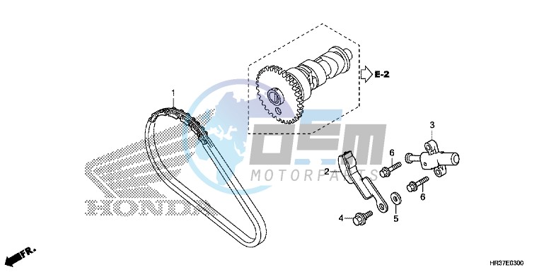 CAM CHAIN/TENSIONER