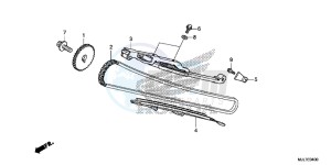 NC750DE Integra - NC750D Europe Direct - (ED) drawing CAM CHAIN/ TENSIONER