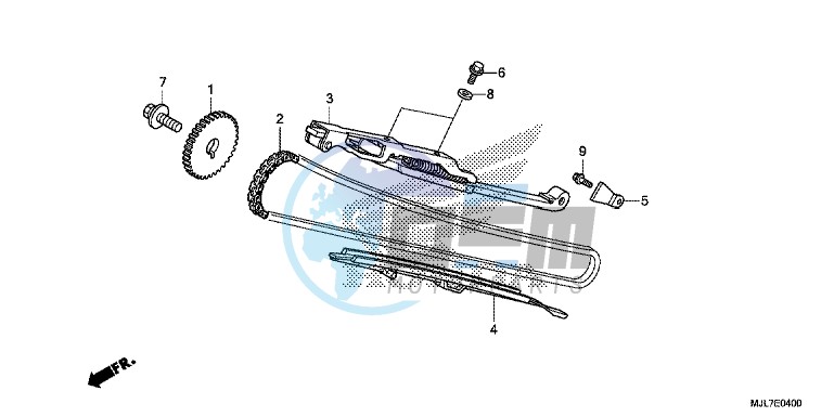 CAM CHAIN/ TENSIONER