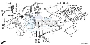 TRX500FPAD TRX500FPA ED drawing FUEL TANK