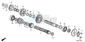 CRF50FC drawing TRANSMISSION