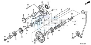 GL18009 Australia - (U) drawing REVERSE GEAR