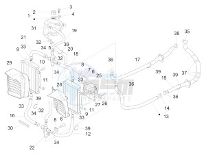 GTS 300 4T 4V IE ABS E3-E4 (NAFTA) drawing Cooling system