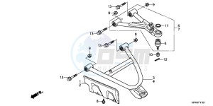 TRX420FEC drawing FRONT ARM (4WD)