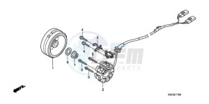 CRF150RB9 Europe Direct - (ED / T19) drawing GENERATOR