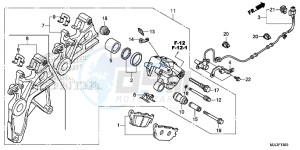 NC750XAE NC750XA Europe Direct - (ED) drawing REAR BRAKE CALIPER