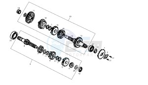 DXR - 250 CC drawing GEAR BOX