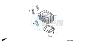 CBF125MA France - (F) drawing CYLINDER