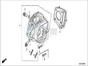 CRF50FH Europe Direct - (ED) drawing CYLINDER HEAD