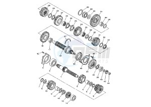 TDM 900 drawing TRANSMISSION