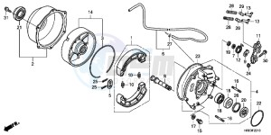 TRX500FPEC drawing REAR BRAKE PANEL