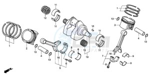 VTR1000SP VTR1000SP-1 drawing CRANKSHAFT/PISTON