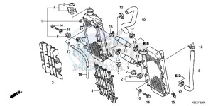 CRF150RD CRF150R Europe Direct - (ED) drawing RADIATOR