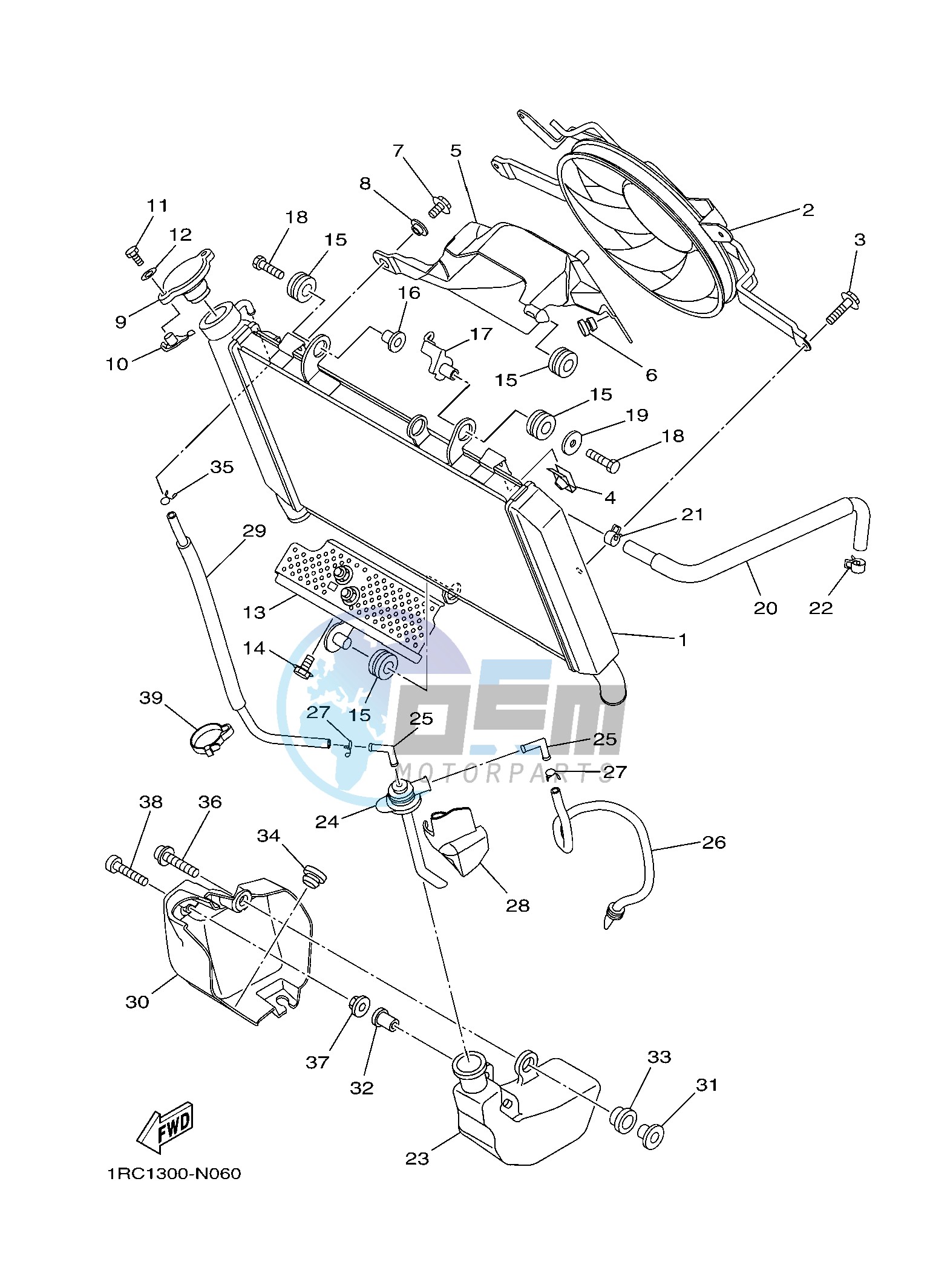 RADIATOR & HOSE