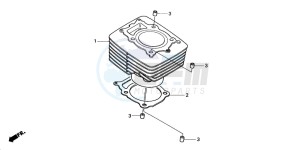 TRX350FM FOURTRAX 350 4X4 drawing CYLINDER