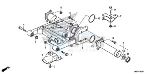 TRX420TM1H Europe Direct - (ED) drawing SWINGARM