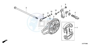 CRF70FC drawing REAR BRAKE PANEL