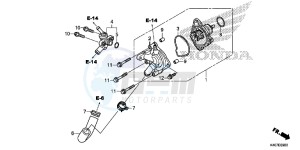 NSS125DF Forza 125 - NSS125D Europe Direct - (ED) drawing WATER PUMP