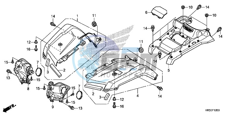 FRONT FENDER